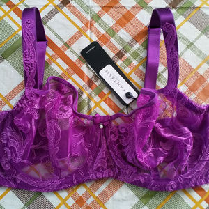 Fantasie Allegra vertical seam half cup 30E